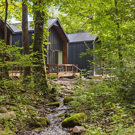 Hotel Roamstead Smoky Mountains Cosby Esterno foto