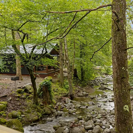 Hotel Roamstead Smoky Mountains Cosby Esterno foto