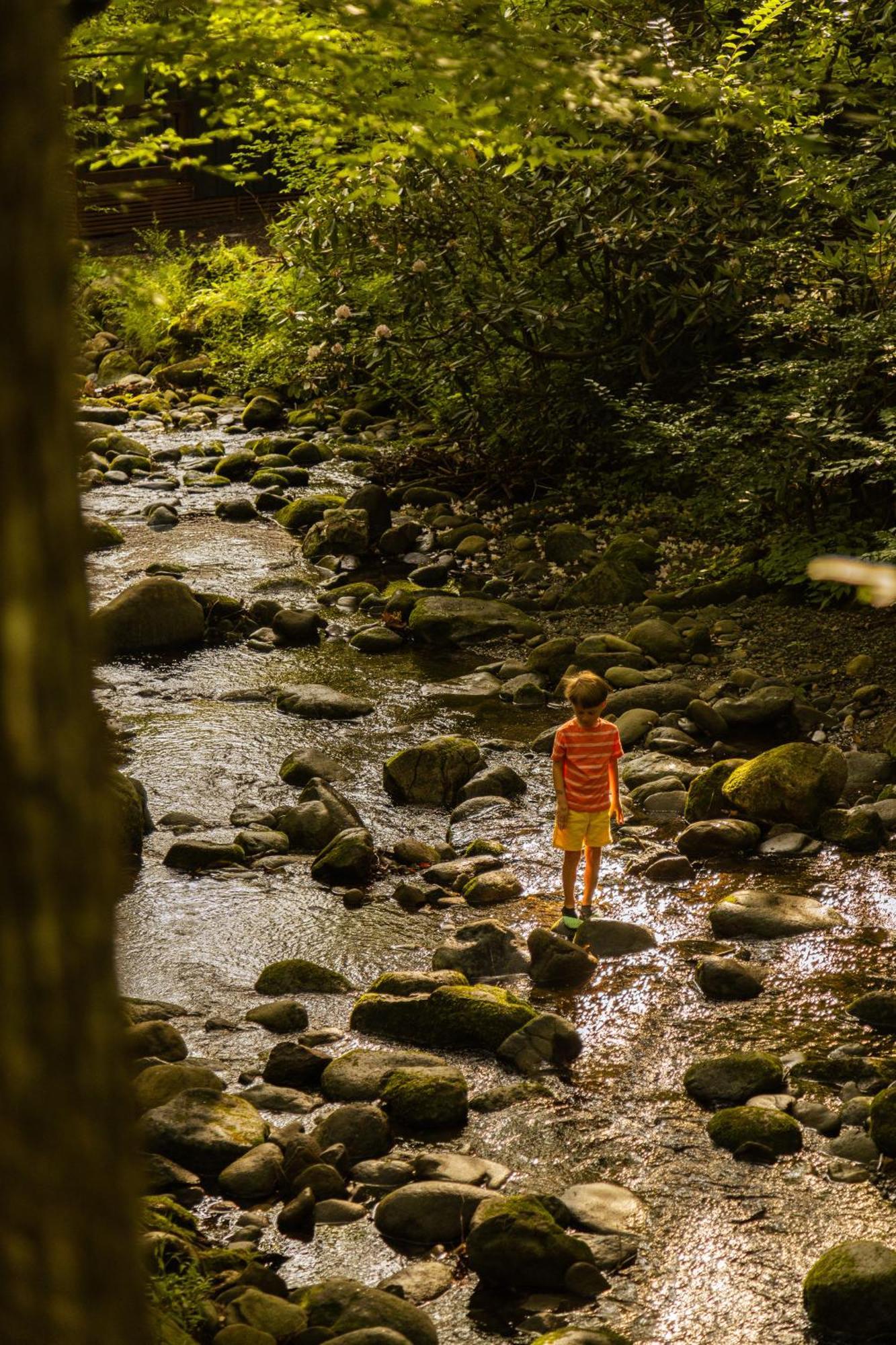 Roamstead Smoky Mountains